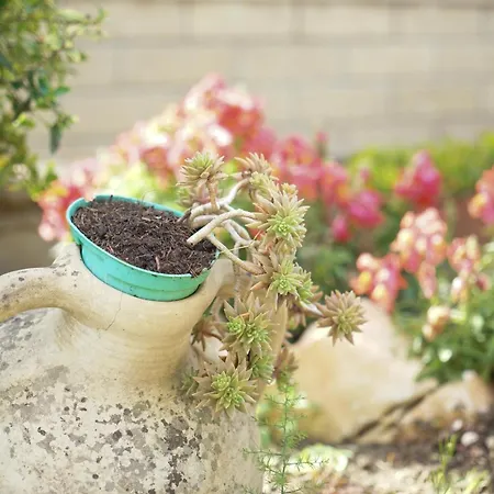 Panorama 4 Apartamento *