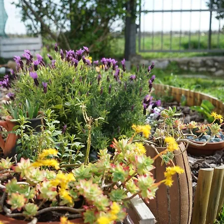 Panorama 4 Apartamento *