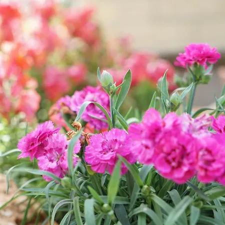 Apartment Panorama 4