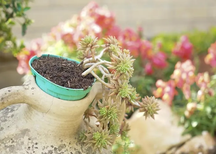 Panorama 4 アパート *