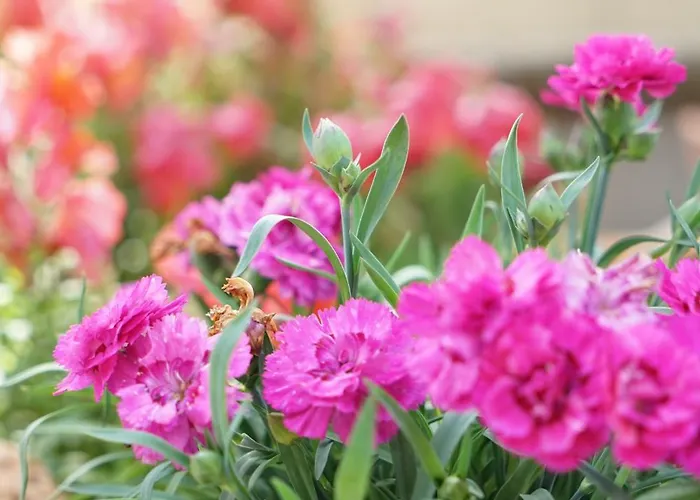 アパート Panorama 4