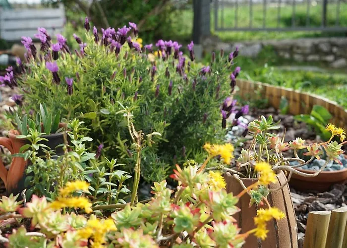 Panorama 4 Apartment *